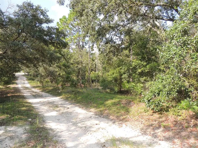 $24,500 | 7550 Northeast 95th Avenue, Bronson, FL 32621