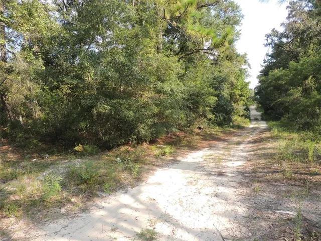 $24,500 | 7550 Northeast 95th Avenue, Bronson, FL 32621