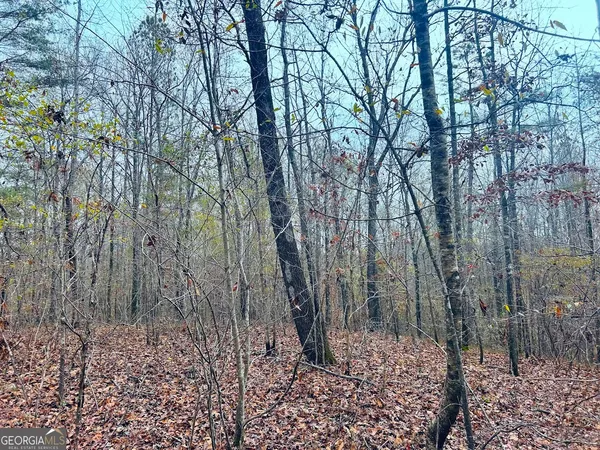 $120,312 | 0 Cheaha Road, Unit LOT 5, Munford, AL 36268