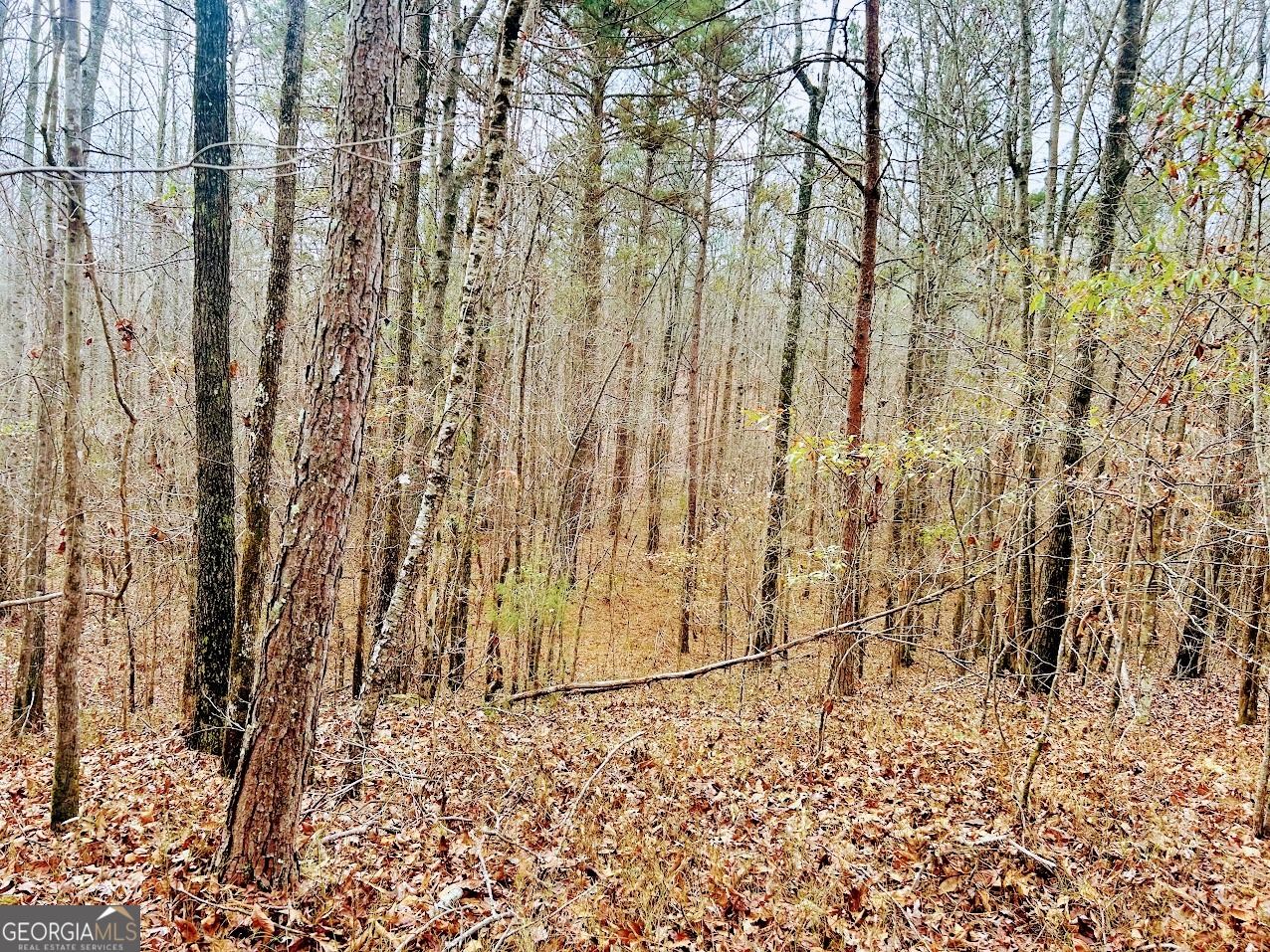 0 Cheaha Road, Unit LOT 5 Munford, AL 36268 - Photo 18 of 42