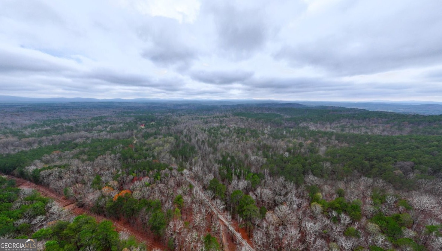 0 Cheaha Road, Unit LOT 5 Munford, AL 36268 - Photo 20 of 42