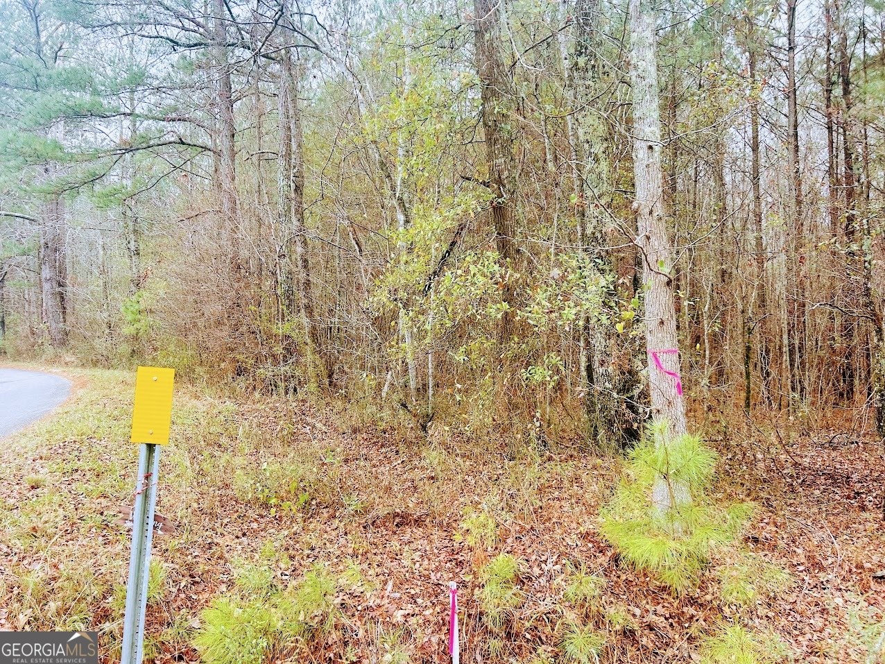 0 Cheaha Road, Unit LOT 5 Munford, AL 36268 - Photo 2 of 42