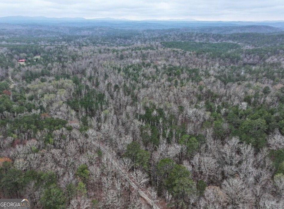 0 Cheaha Road, Unit LOT 5 Munford, AL 36268 - Photo 22 of 42