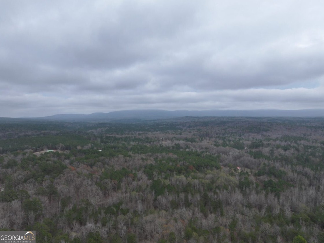 0 Cheaha Road, Unit LOT 5 Munford, AL 36268 - Photo 27 of 42