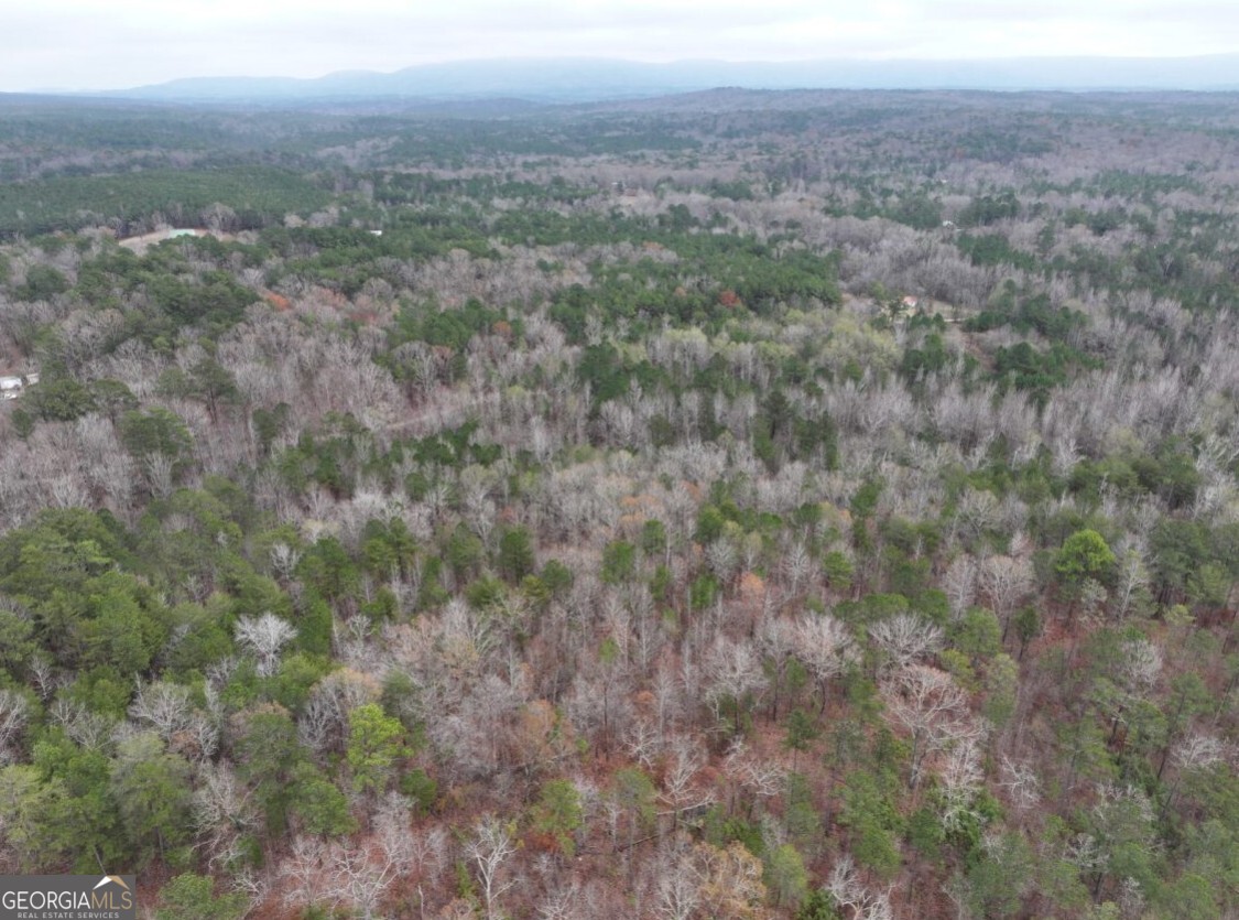 0 Cheaha Road, Unit LOT 5 Munford, AL 36268 - Photo 28 of 42