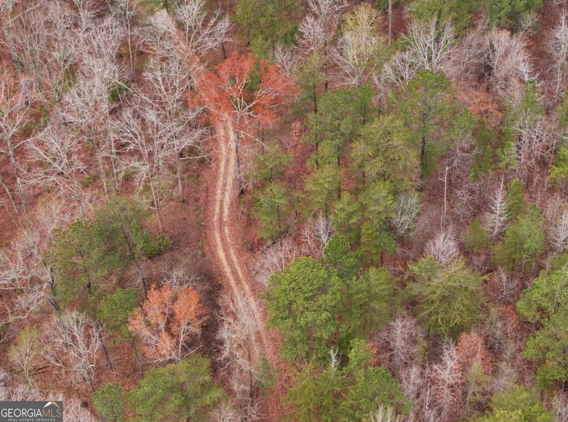 0 Cheaha Road, Unit LOT 5 Munford, AL 36268 - Photo 32 of 42