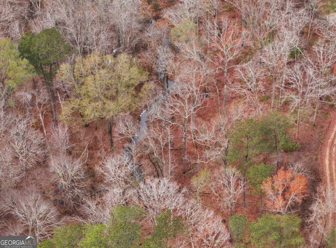 0 Cheaha Road, Unit LOT 5 Munford, AL 36268 - Photo 33 of 42