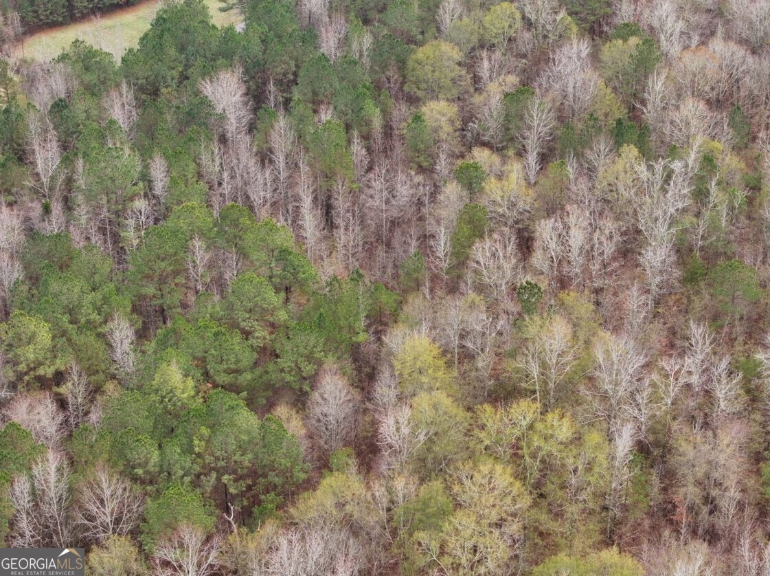 0 Cheaha Road, Unit LOT 5 Munford, AL 36268 - Photo 35 of 42