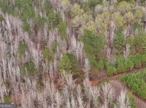 $120,312 | 0 Cheaha Road, Unit LOT 5, Munford, AL 36268