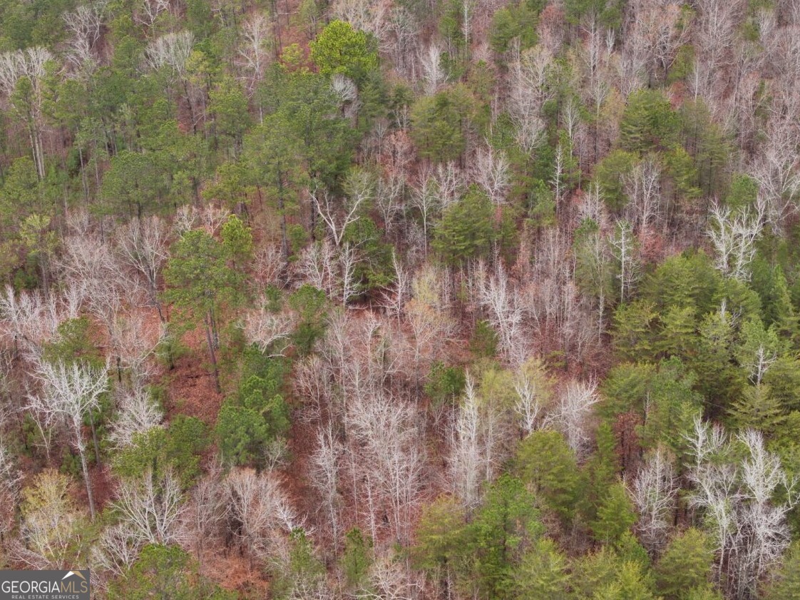 0 Cheaha Road, Unit LOT 5 Munford, AL 36268 - Photo 37 of 42