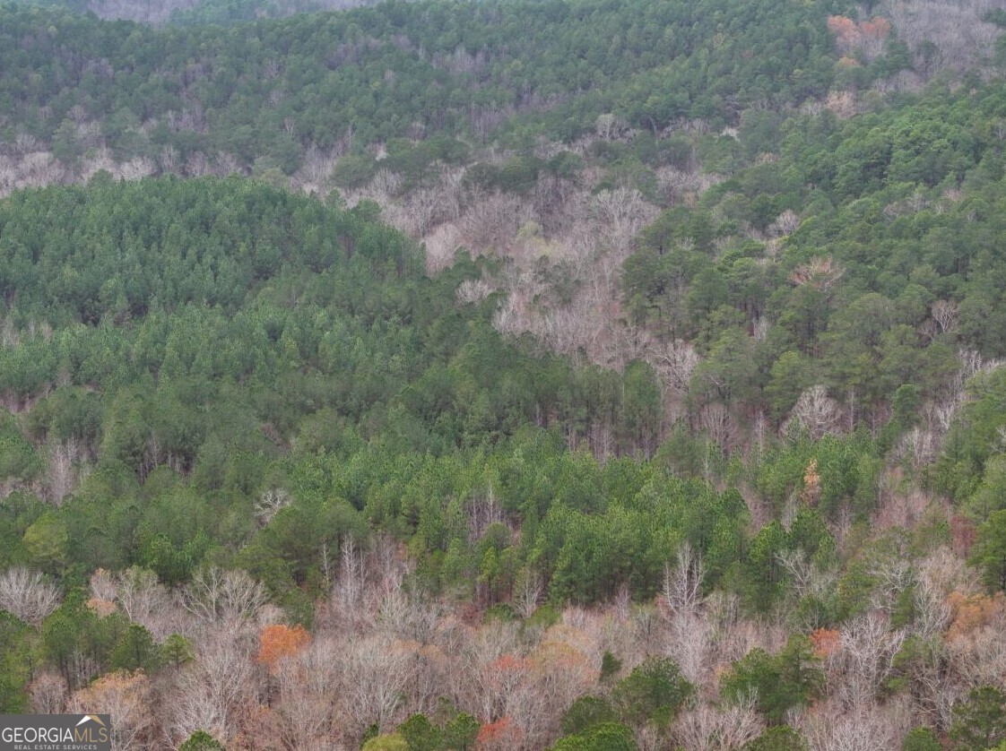 0 Cheaha Road, Unit LOT 5 Munford, AL 36268 - Photo 38 of 42