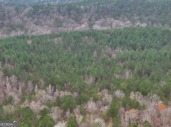 $120,312 | 0 Cheaha Road, Unit LOT 5, Munford, AL 36268