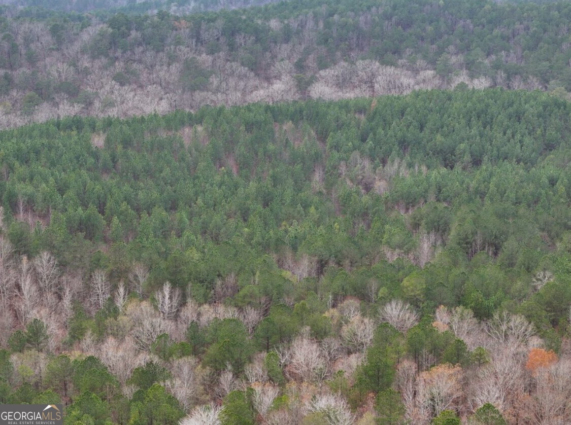 0 Cheaha Road, Unit LOT 5 Munford, AL 36268 - Photo 39 of 42