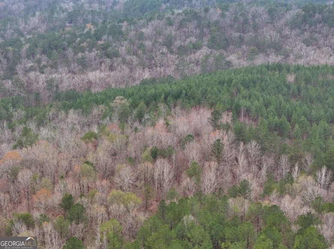 0 Cheaha Road, Unit LOT 5 Munford, AL 36268 - Photo 40 of 42