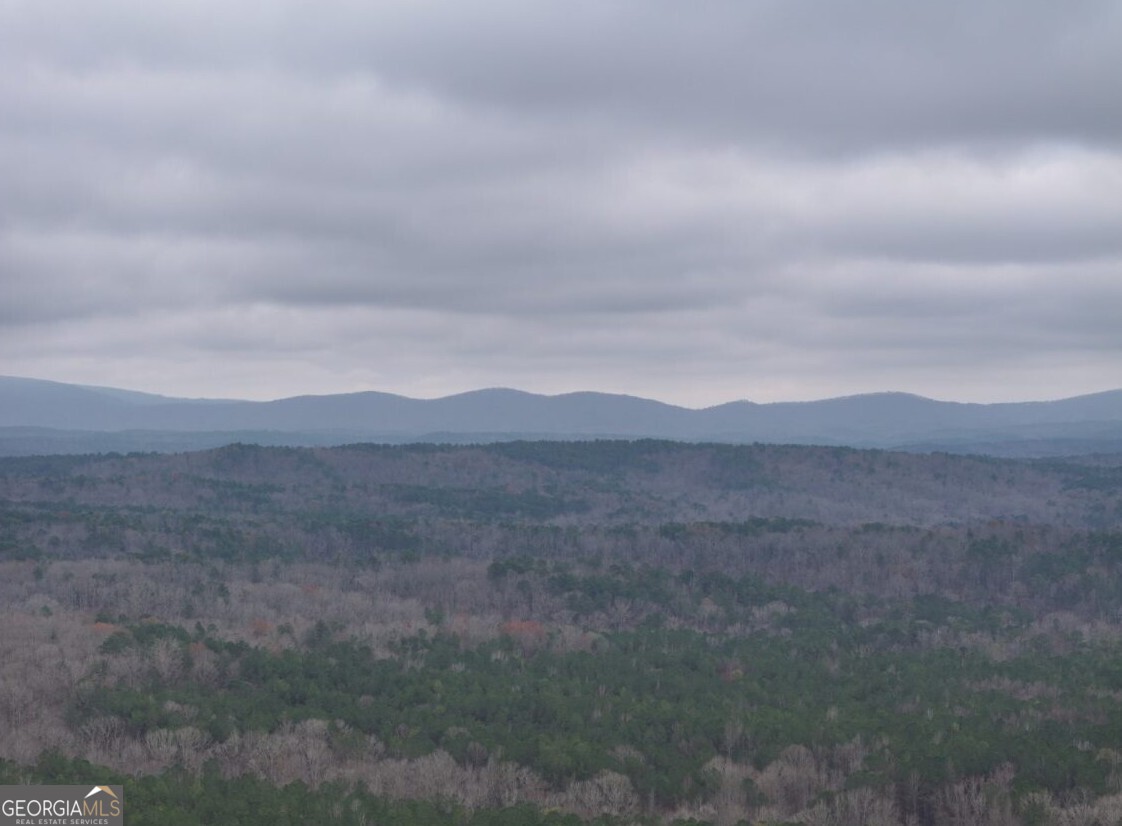 0 Cheaha Road, Unit LOT 5 Munford, AL 36268 - Photo 41 of 42