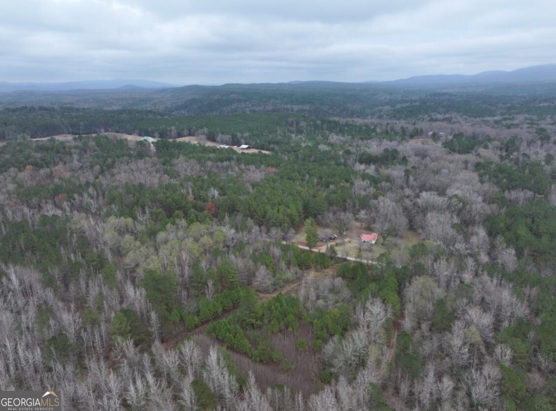 0 Cheaha Road, Unit LOT 5 Munford, AL 36268 - Photo 42 of 42