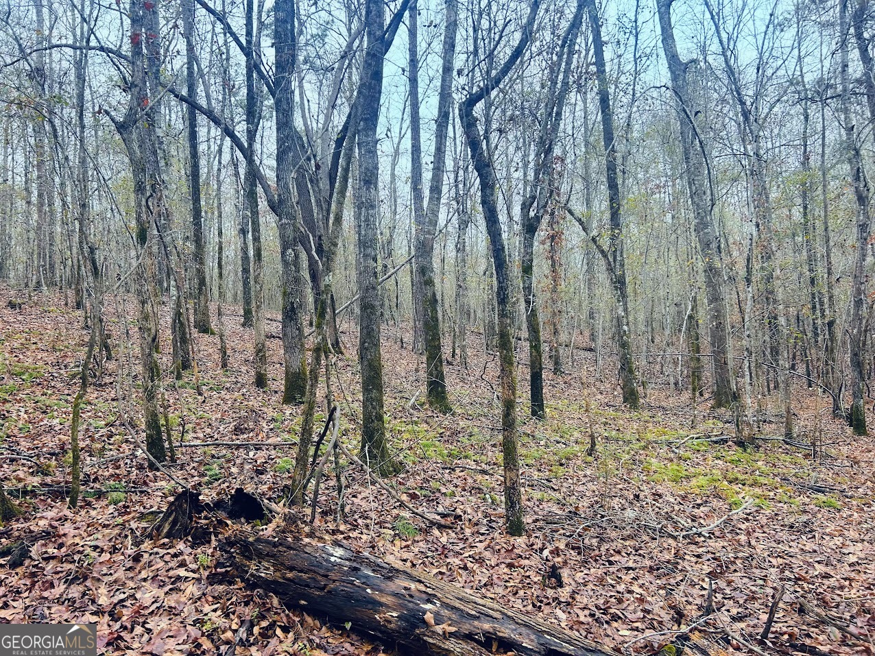 0 Cheaha Road, Unit LOT 5 Munford, AL 36268 - Photo 6 of 42