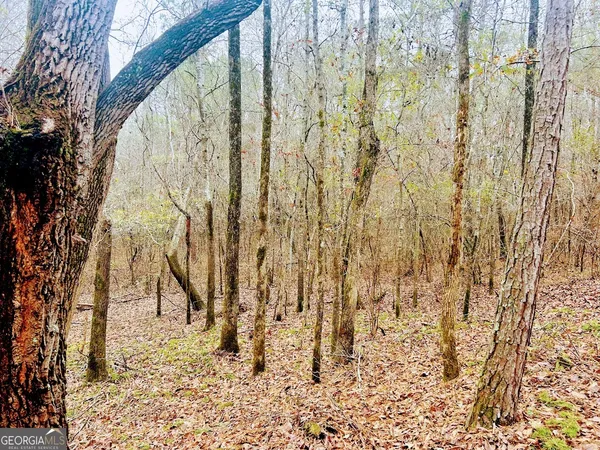 $120,312 | 0 Cheaha Road, Unit LOT 5, Munford, AL 36268