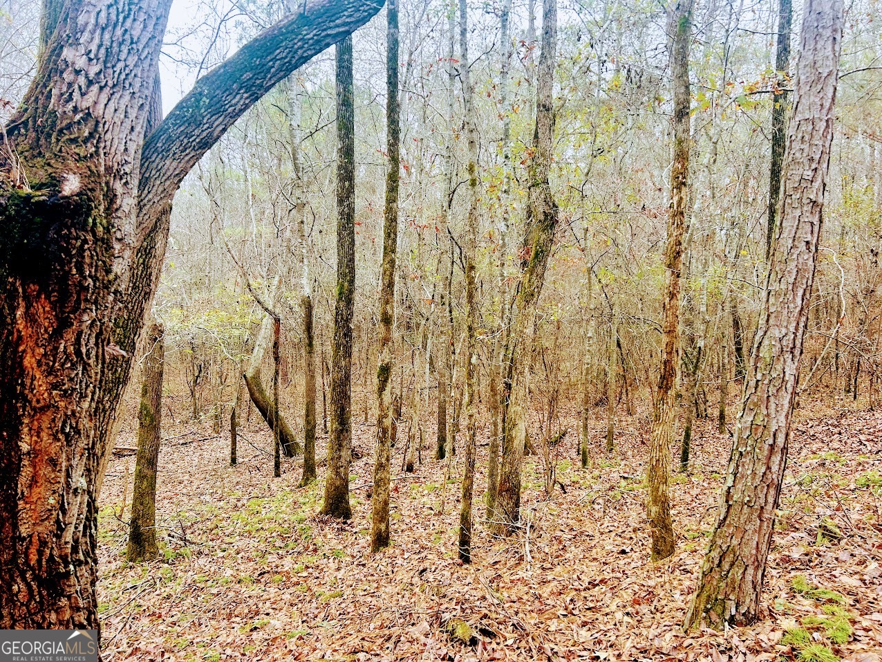 0 Cheaha Road, Unit LOT 5 Munford, AL 36268 - Photo 7 of 42