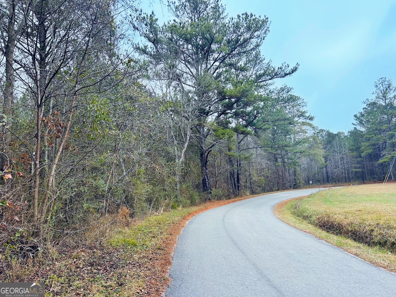 0 Cheaha Road, Unit LOT 5 Munford, AL 36268 - Photo 10 of 42