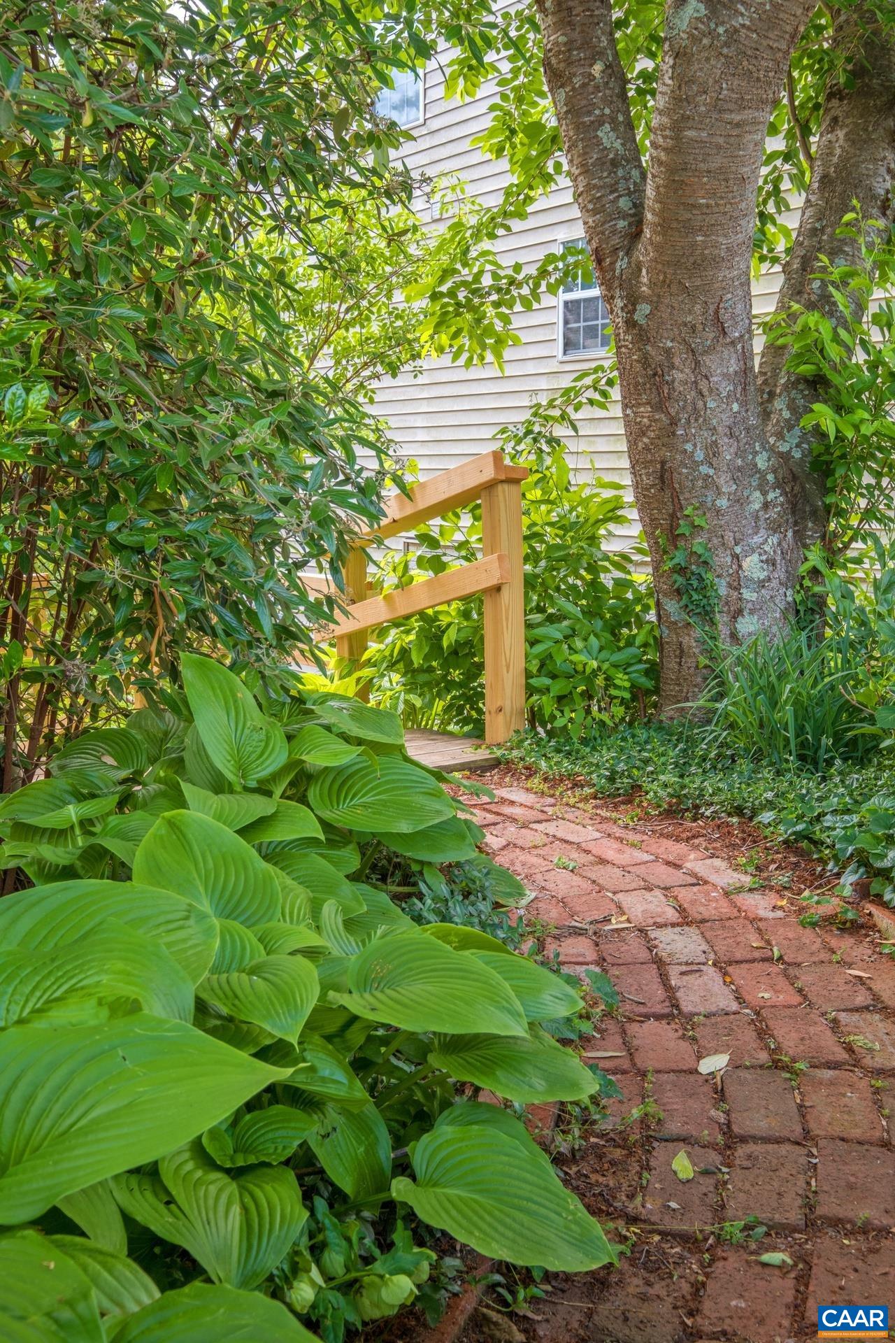 326 Riverside Avenue Charlottesville, VA 22902 - Photo 23 of 38 a view of a yard with plants and large trees