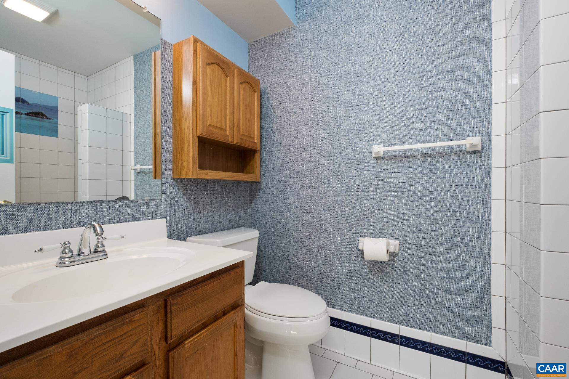 326 Riverside Avenue Charlottesville, VA 22902 - Photo 9 of 38 a bathroom with a sink a toilet and mirror