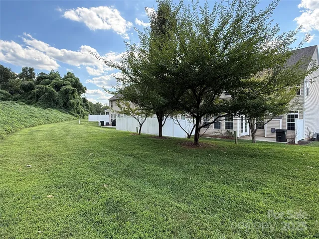 a view of a trees with a big yard