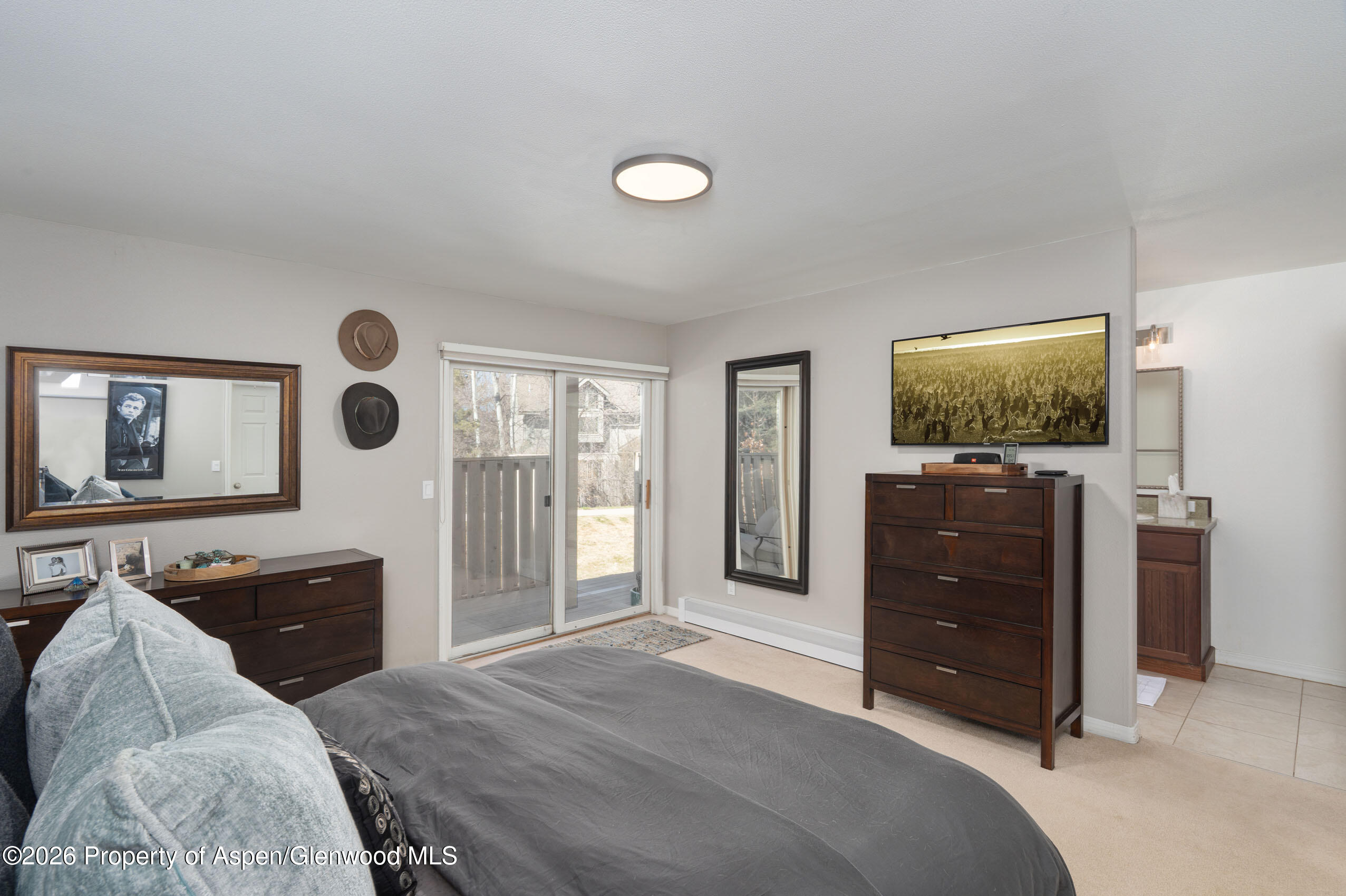 2003 Arbor Park Drive, Unit 1B Basalt, CO 81621 - Photo 7 of 27 Primary Suite