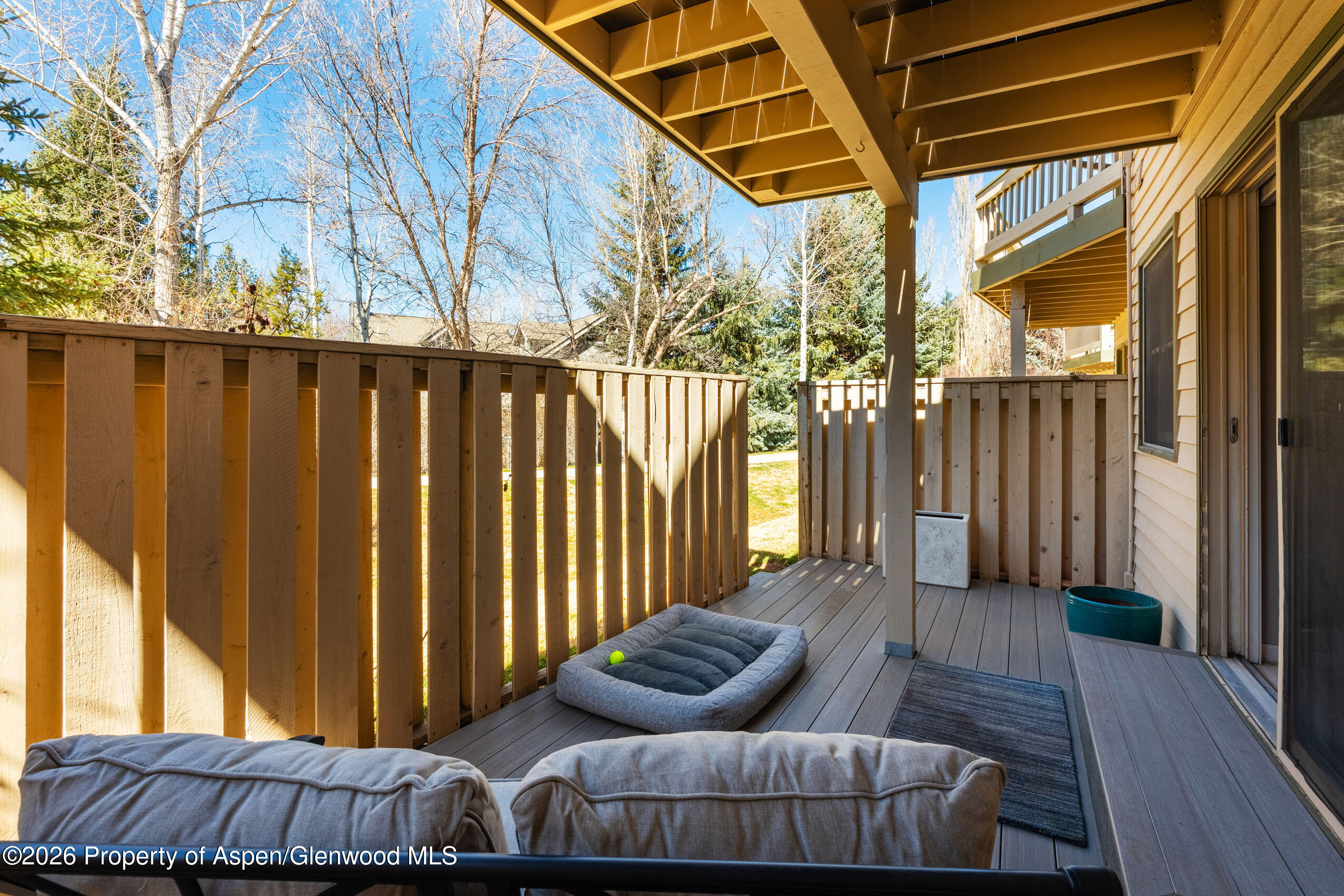 2003 Arbor Park Drive, Unit 1B Basalt, CO 81621 - Photo 10 of 27 Lower Deck
