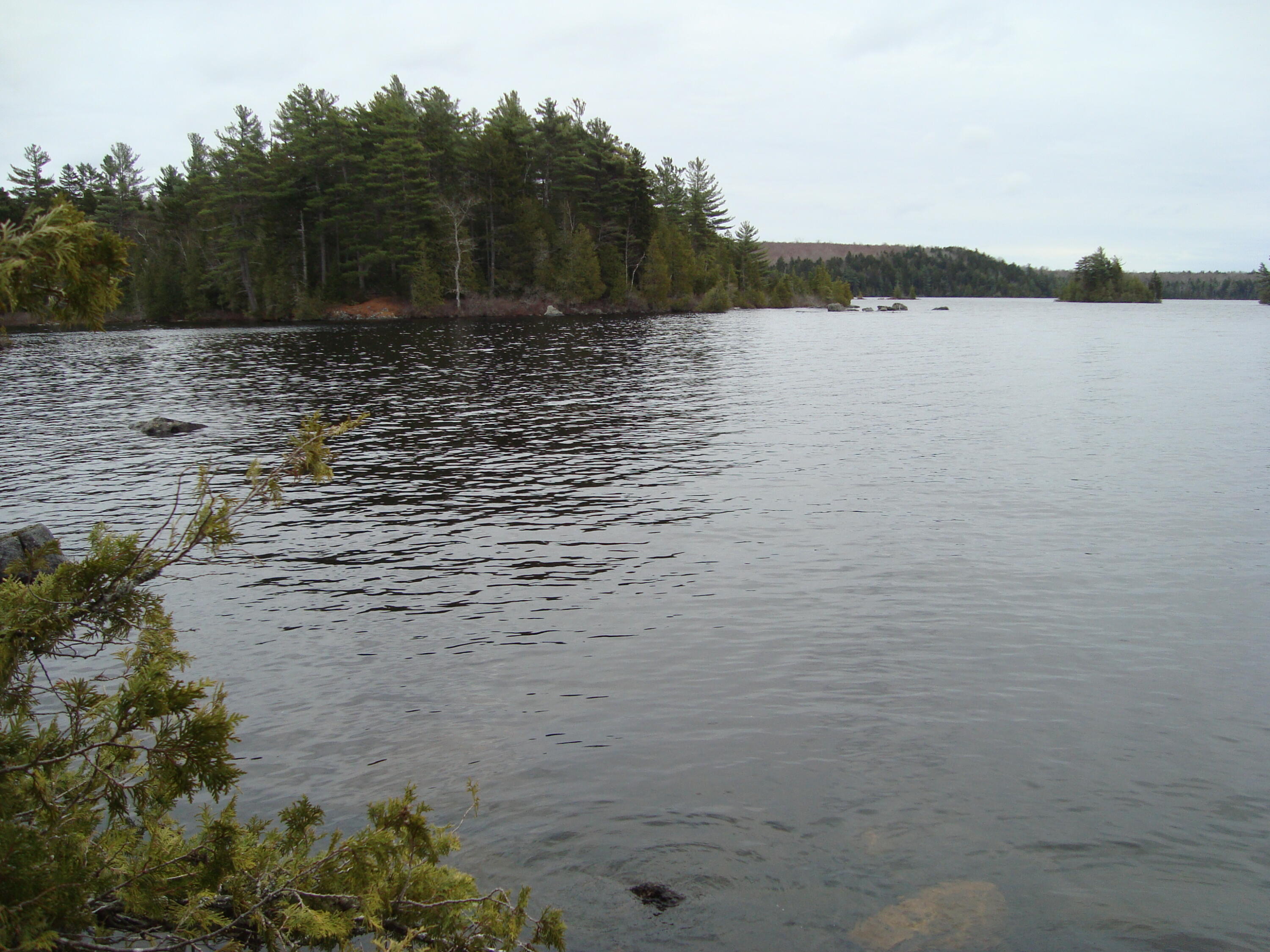 Lot G Birch Pt Road Cooper, ME 04657 - Photo 1 of 13 DSC02950