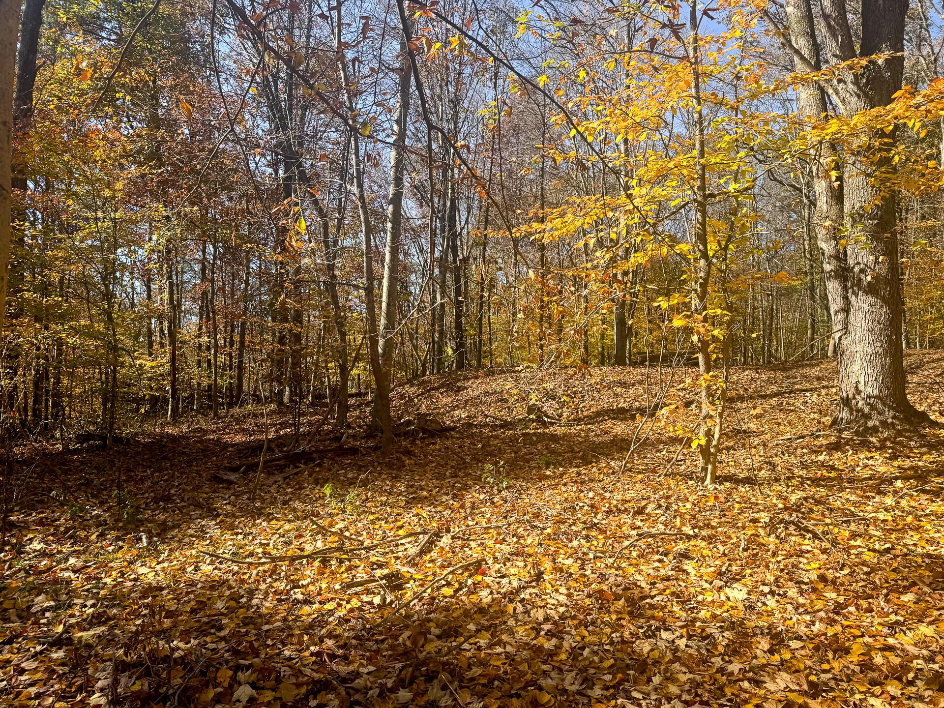 908 Nibert Road, Unit PONDS POPLAR RIDGE TRACT 2) Gallipolis, OH 45631 - Photo 16 of 25 CT-16