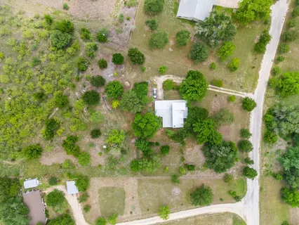 a view of a tree with a yard