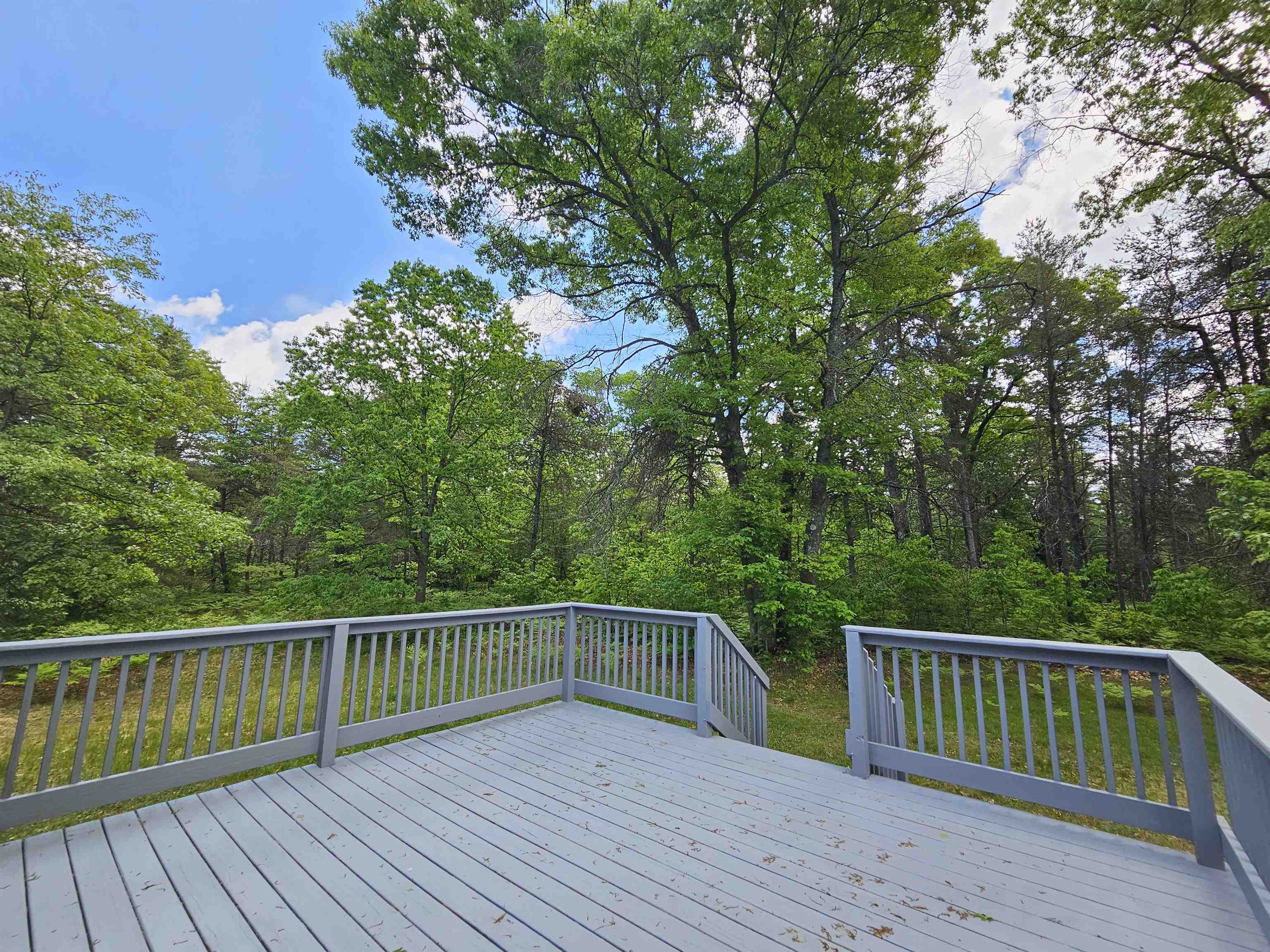 9733 West Jennings Road Lake City, MI 49651 - Photo 30 of 37
