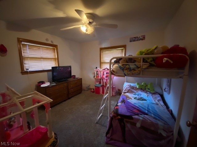 609 Hillman Road Akron, OH 44312 - Photo 10 of 19