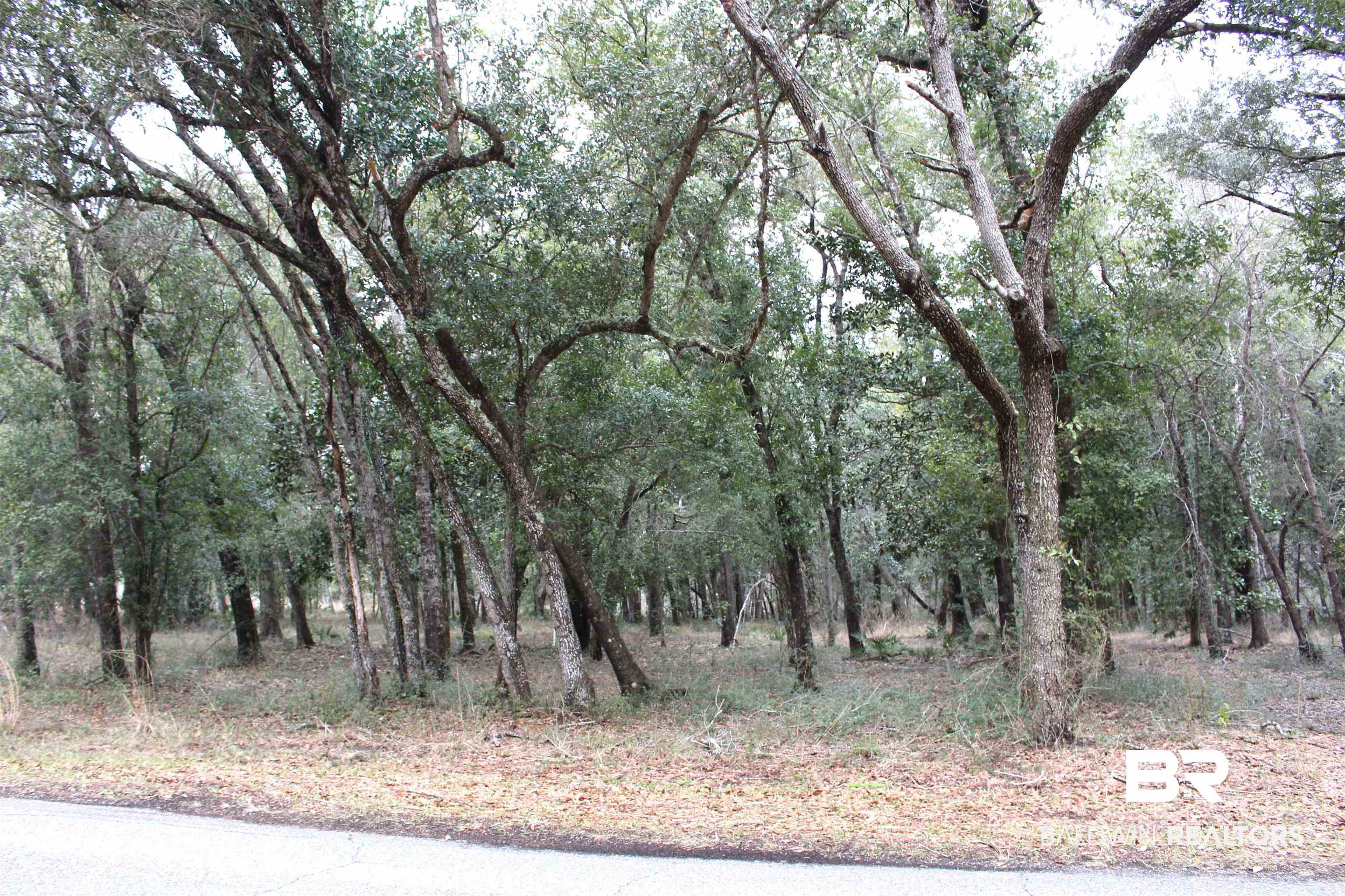 0 Soldier Creek Road Lillian, AL 36549 - Photo 2 of 6 View of local wilderness