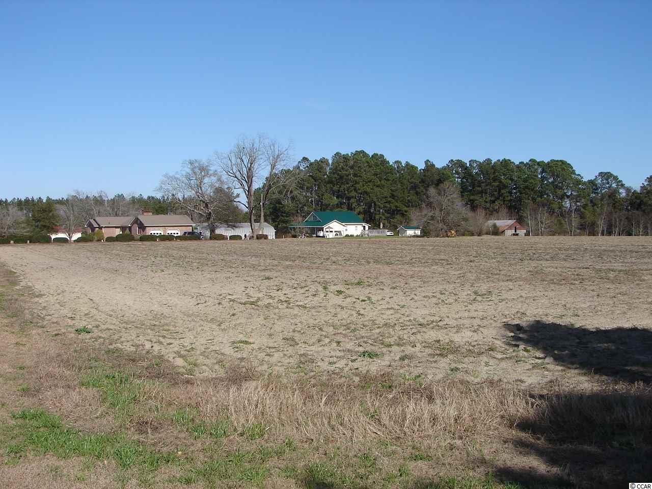 848 Sisters Road Loris, SC 29569 - Photo 24 of 25 Gallery Image 24