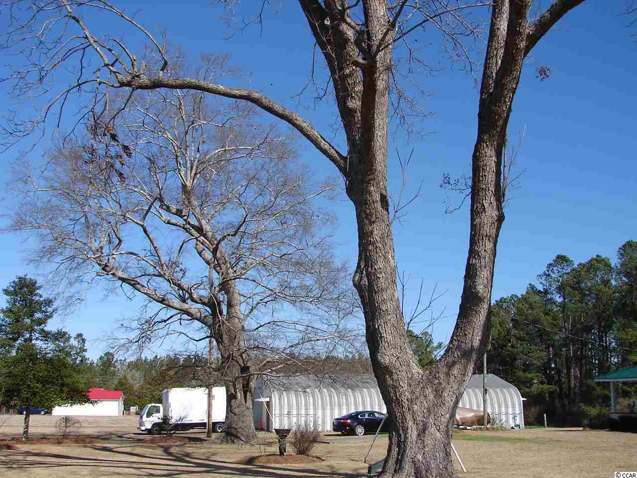 848 Sisters Road Loris, SC 29569 - Photo 10 of 25 Gallery Image 10