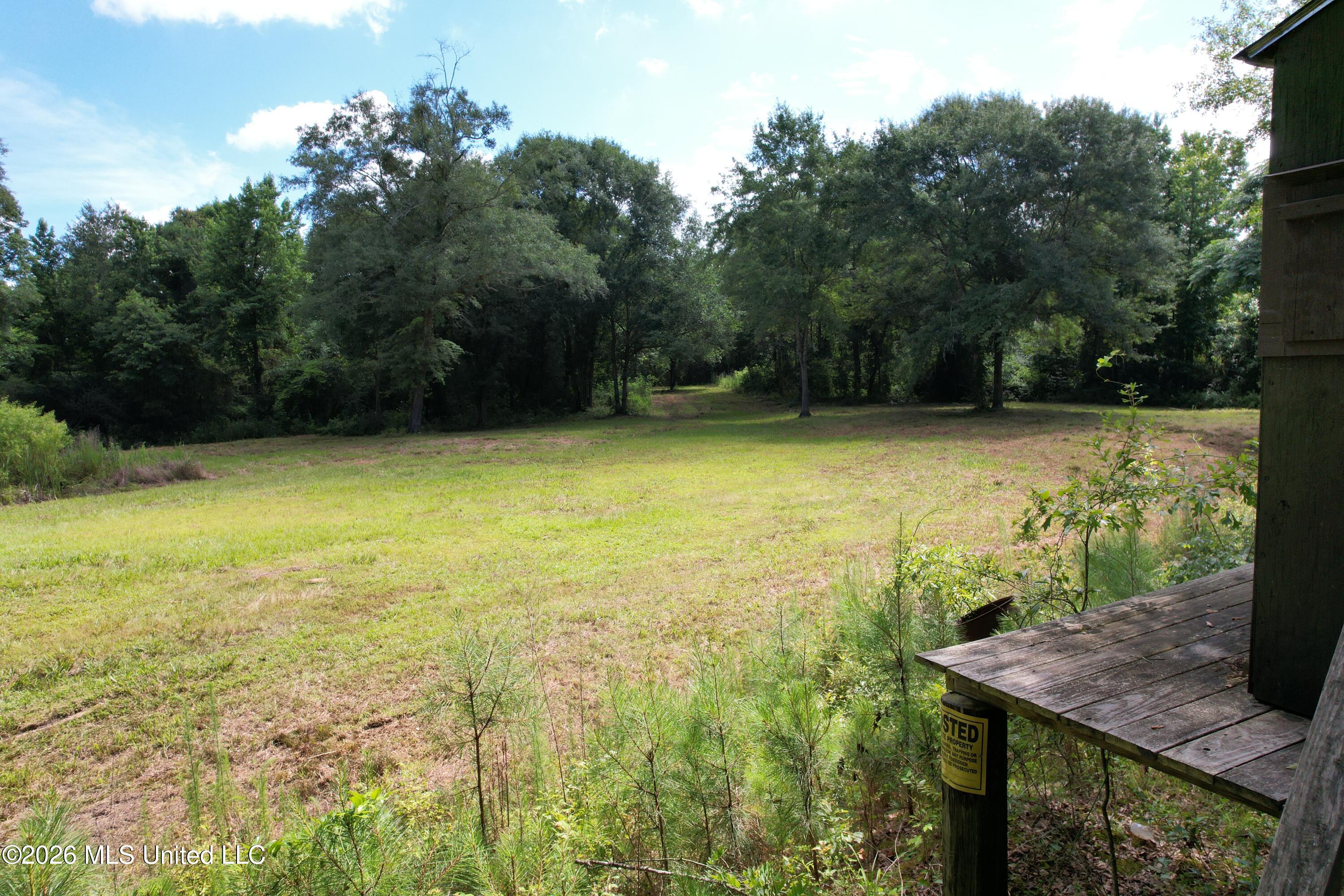 135 Joe Booth Road Taylorsville, MS 39168 - Photo 22 of 22 DJI_0633