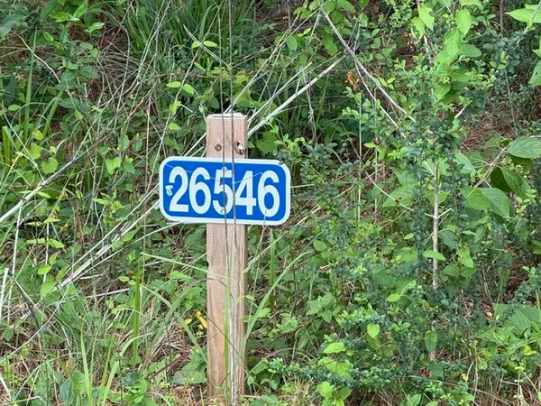 $25,000 | 26546 Pin Oak Drive, Hempstead, TX 77445