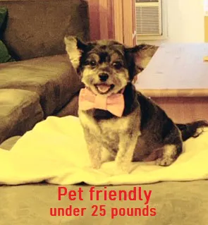 $849,000 | 77 West 55th Street, Unit 2H | Midtown Central