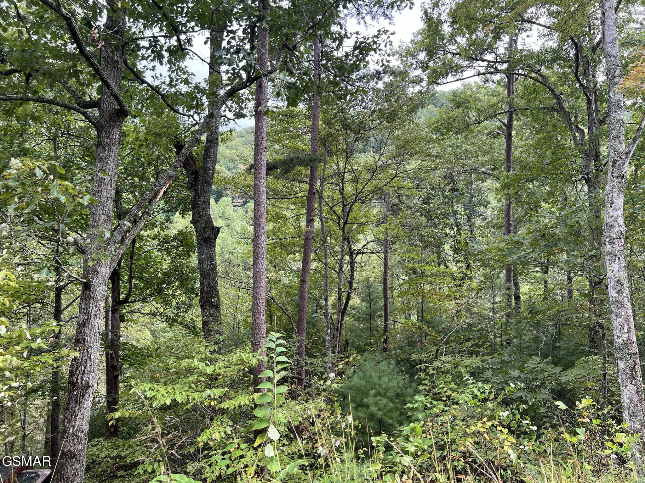 5 Sunset Road Sevierville, TN 37862 - Photo 1 of 15