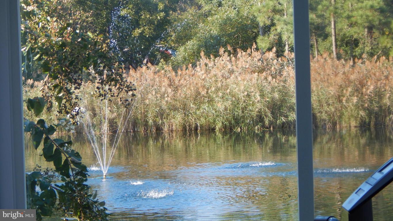 3667 Freedomtown Road Crisfield, MD 21817 - Photo 14 of 58 Gallery Image 14