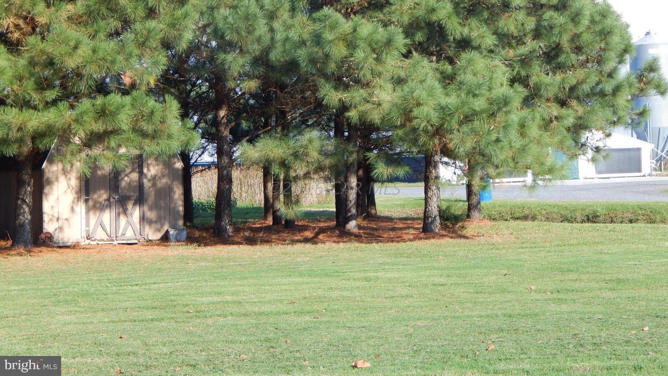 3667 Freedomtown Road Crisfield, MD 21817 - Photo 15 of 58 Gallery Image 15