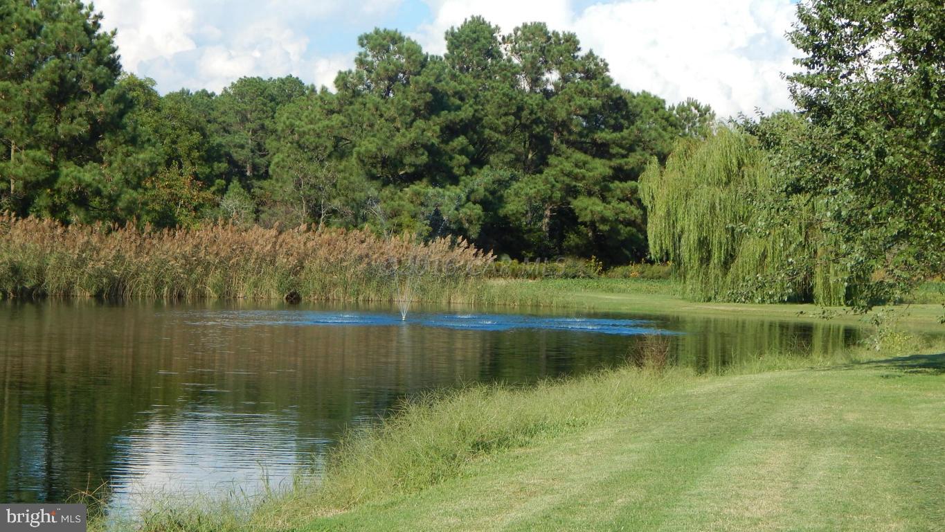 3667 Freedomtown Road Crisfield, MD 21817 - Photo 16 of 58 Gallery Image 16