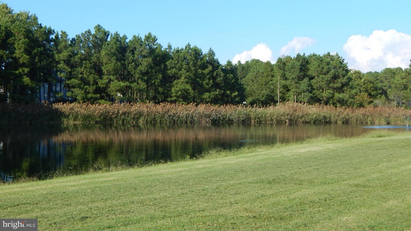 3667 Freedomtown Road Crisfield, MD 21817 - Photo 17 of 58 Gallery Image 17