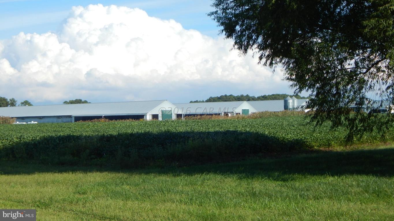 3667 Freedomtown Road Crisfield, MD 21817 - Photo 20 of 58 Gallery Image 20
