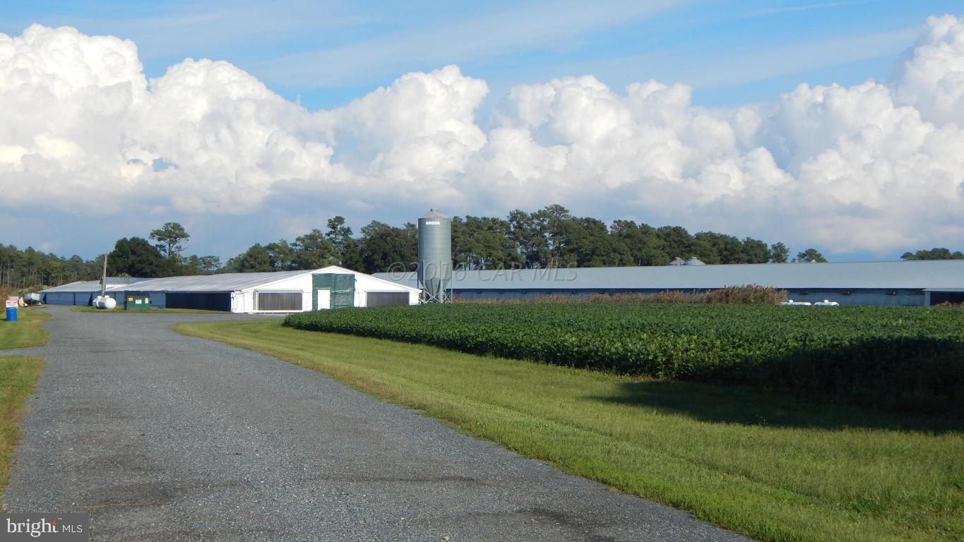 3667 Freedomtown Road Crisfield, MD 21817 - Photo 21 of 58 Gallery Image 21