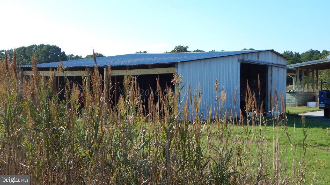 3667 Freedomtown Road Crisfield, MD 21817 - Photo 23 of 58 Gallery Image 23