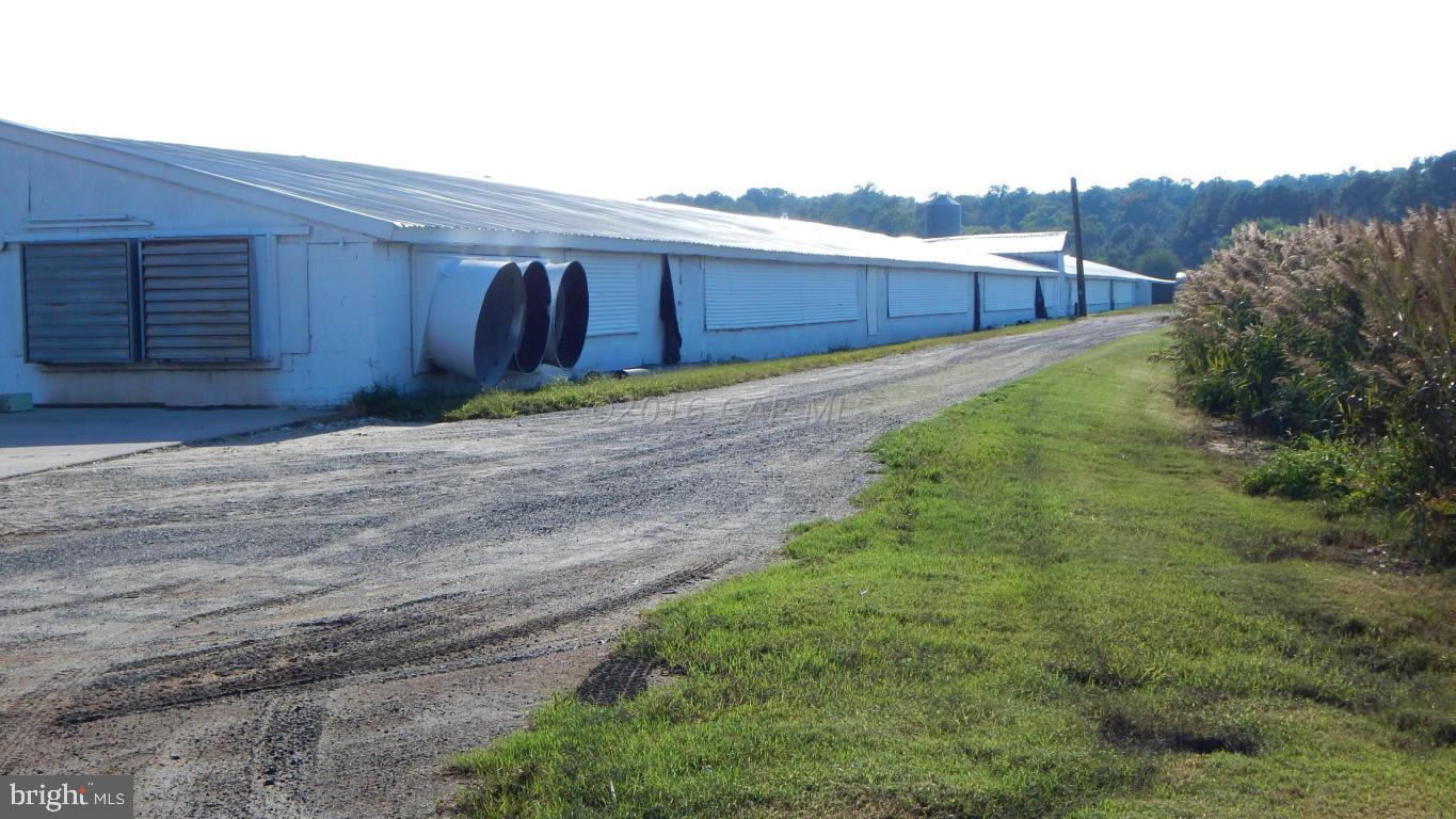 3667 Freedomtown Road Crisfield, MD 21817 - Photo 24 of 58 Gallery Image 24