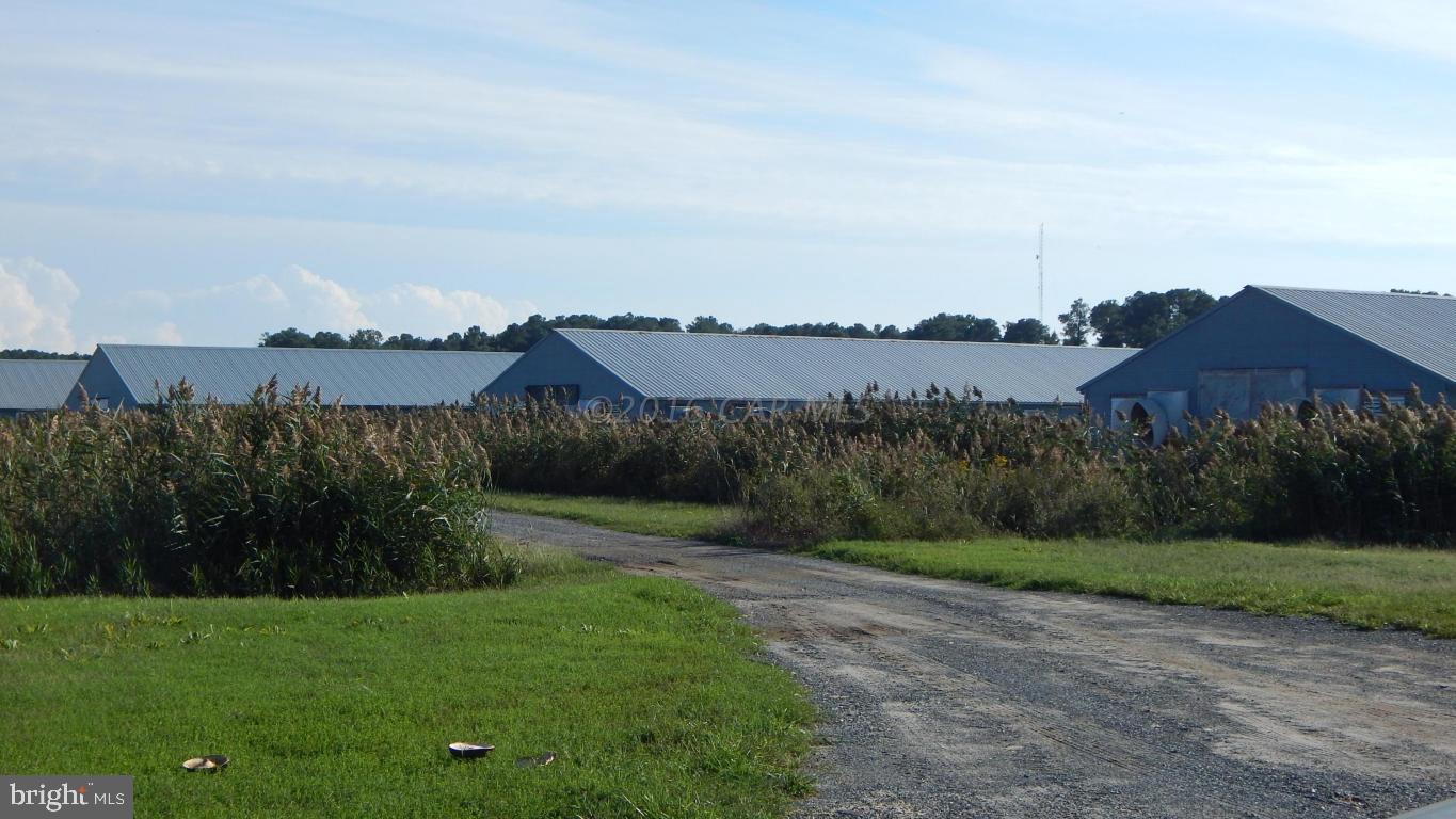 3667 Freedomtown Road Crisfield, MD 21817 - Photo 25 of 58 Gallery Image 25